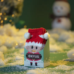 Santa Socks