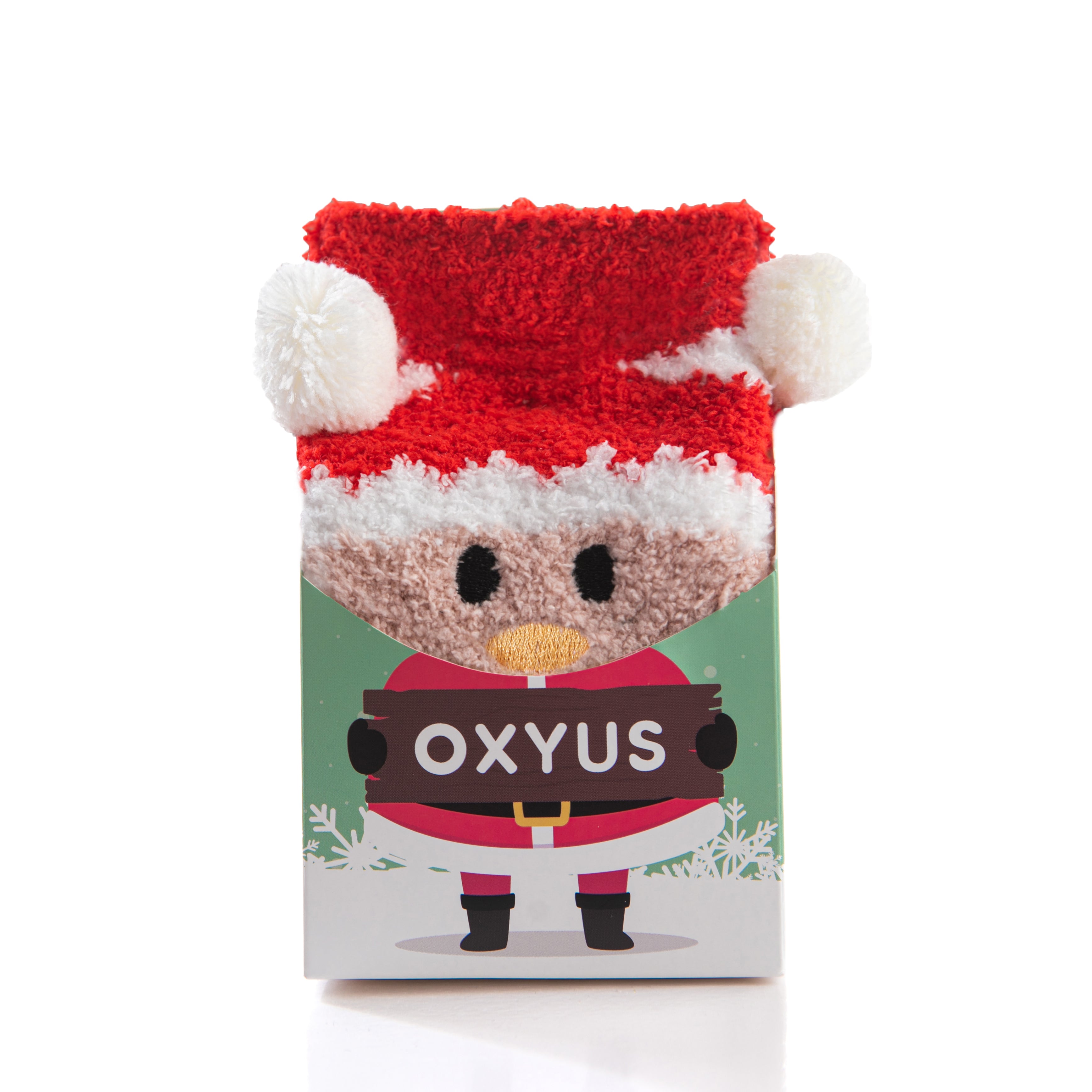 Santa Socks